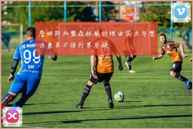 詹姆斯加盟森林狼的理由实力与潜力兼具不惧外界质疑
